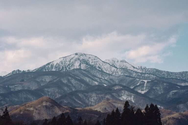 星野 和昭